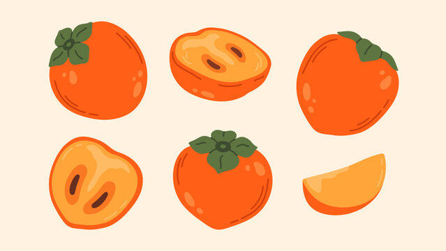 Cute persimmon fruit collection. Whole and sliced kaki fruit. Flat vector illustration