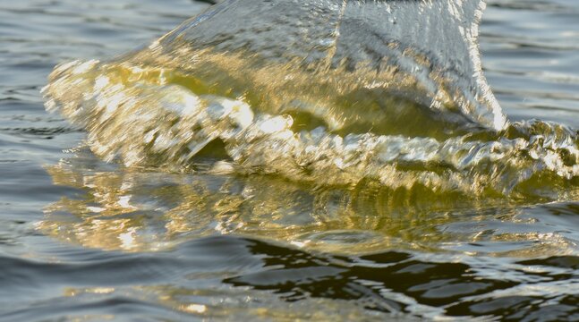 Water splashes in the lake, close-up, abstract background