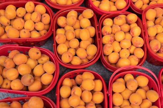 Fresh apricot fruits