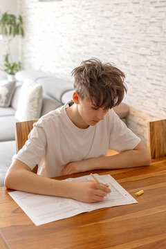 School boy, elementary school boy, preparing for exams for middle school at home
