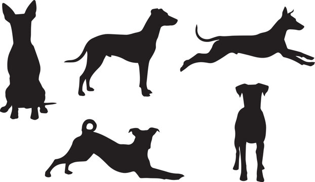 A set of black silhouettes of dogs in various poses on a white background