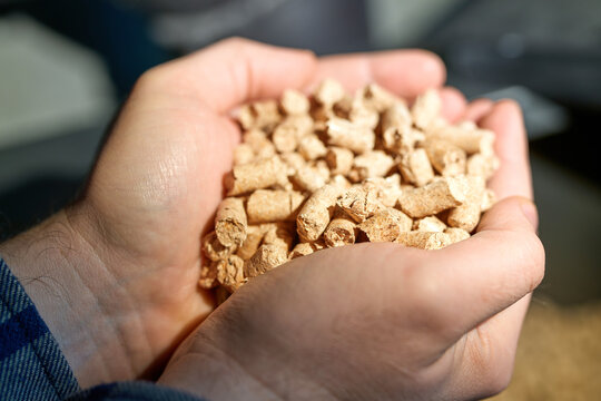 Clean energy concept using wood pellet fuel