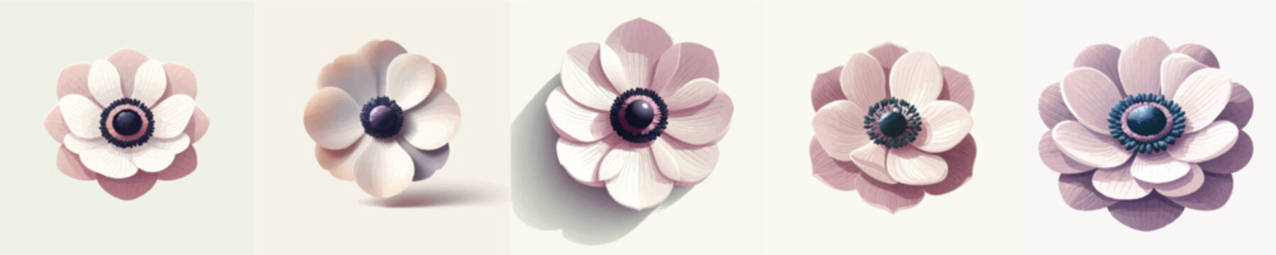 Vector of anemone flower