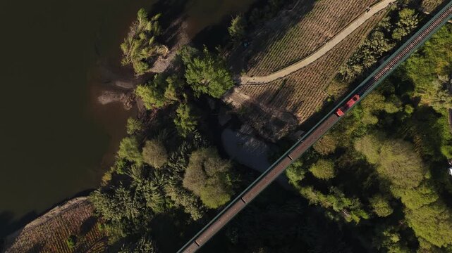 Aerial view of a train travelling on a bridge over water, contrasting with the green trees and brown vineyards, Mesao Frio, Portugal.