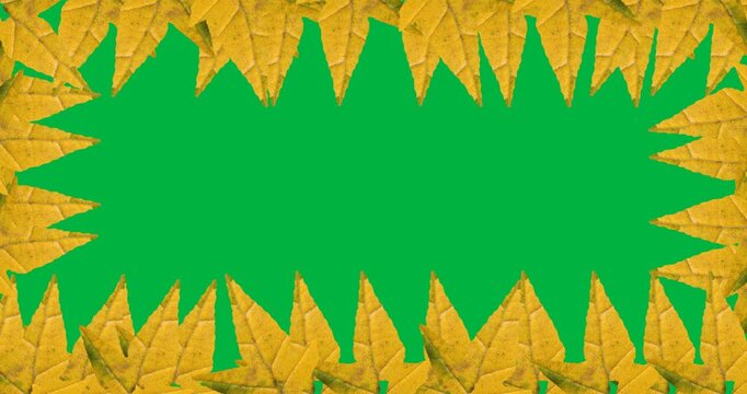 Digital animation of multiple yellow autumn maple leaves forming a frame against black background