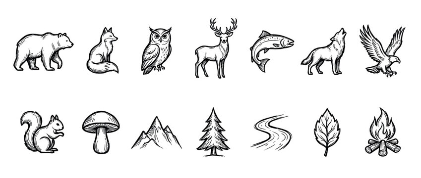 Collection of hand-drawn rustic nature and wildlife illustrations featuring various animals, plants, and outdoor elements in a detailed, vintage sketch style