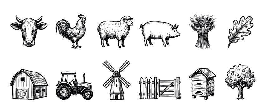 Vintage farm and agriculture icon collection hand-drawn in a black and white sketch style showing animals, a barn, tractor, windmill, and crops like wheat and apples