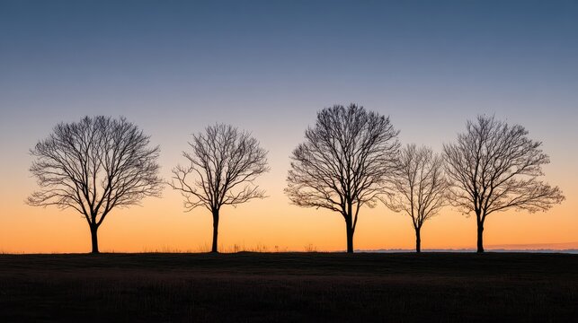 Row of five leafless trees against a warm sunset sky over a calm field