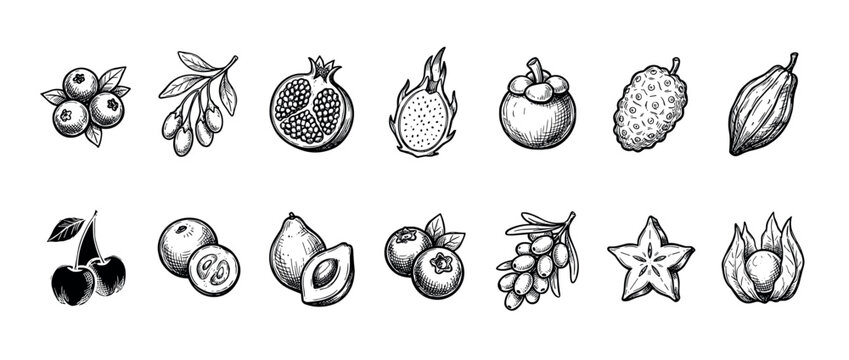 Hand-drawn exotic fruits and berries collection in a vintage sketch style, featuring superfoods like pomegranate, dragon fruit, goji, acai, mangosteen, and carambola