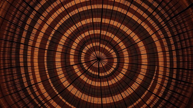 Close-up of wenge wood cross-section, intricate brown and black grain.