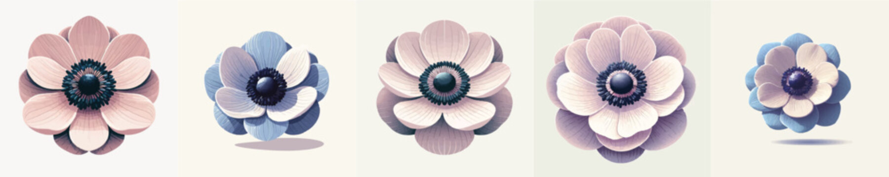 Vector of anemone flower