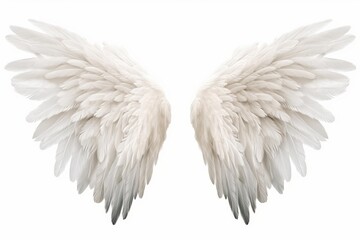 Fototapeta premium White feathered wings spreading outward against a clean white background, symbolizing freedom and purity