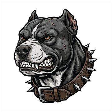 Aggressive Pitbull Dog Head with Spiked Collar, Fierce Expression and Sharp Teeth, Illustration
