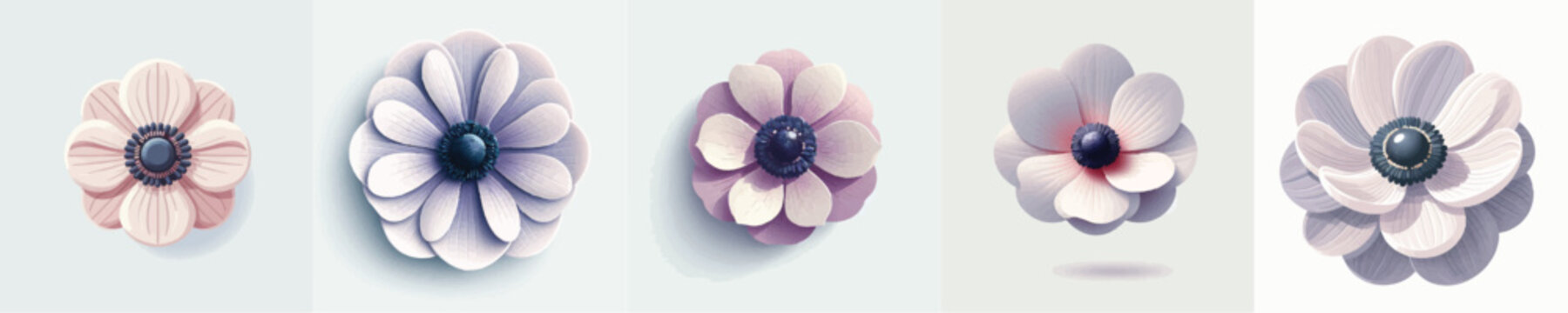 Vector of anemone flower