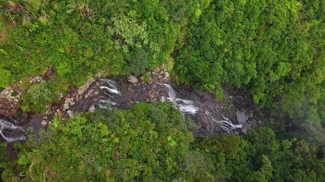 Aerial view of a scenic waterfall flowing through a lush tropical jungle in Mauritius