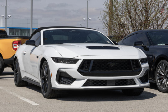 Ford Mustang GT Convertible Premium display at a dealership. Ford offers the Mustang with a 5.0L Ti-VCT GT V8 engine. MY:2025