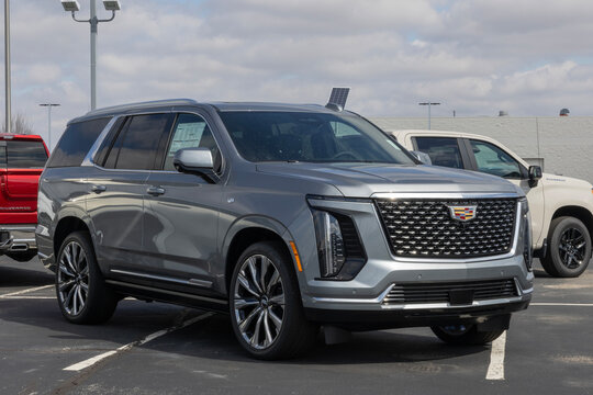 Cadillac Escalade Luxury 4WD Full Size SUV display at a dealership. Cadillac offers the Escalade with a 6.2L V8 engine. MY:2026
