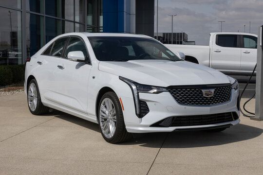 Cadillac CT4 Premium Luxury Small Car at a dealership. Cadillac offers the CT4 with a 2.0L Turbo 4-Cylinder engine. MY:2026