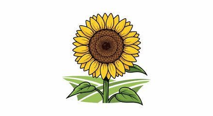 Obraz premium Bright yellow sunflower with green leaves and stem on a white background