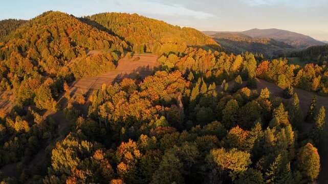 Aerial side orbit of autumn mountain forest during golden sunset