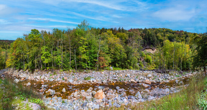 beautiful forest with creekt in the green mountains near Sunderland