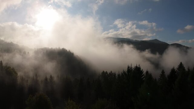 Aerial view of morning mist and fog over mountain forest at sunrise