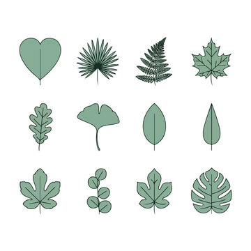 Collection of Green Leaf and Plant Icons