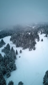 Vertical drone pull-back through winter fog over snowy mforest