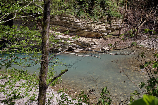 The turquoise Khosta River in Yew-Boxwood Grove.