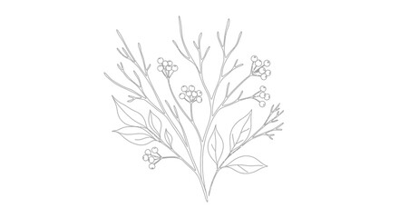 Delicate botanical line art drawing of berry branches and leaves, minimalist sketch © Free Account