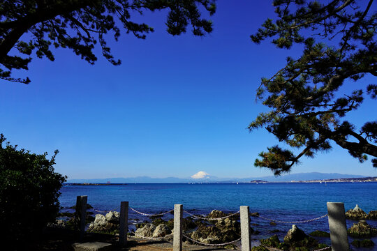 森戸神社の木々の間から望む富士山と相模湾