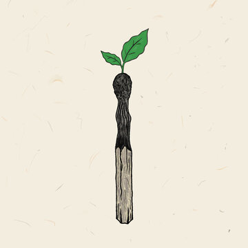 A textured, hand-drawn illustration of a burnt-out wooden matchstick with a vibrant green sprout growing from its charred head