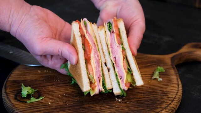 Hands holding sandwich with macro view of layers and fresh ingredients