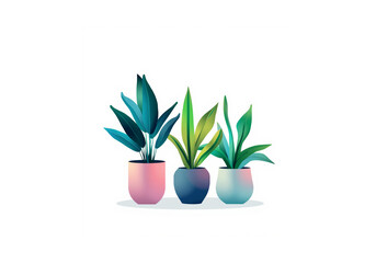 Fototapeta premium Simple indoor plants arranged in small pots with a clean modern aesthetic.