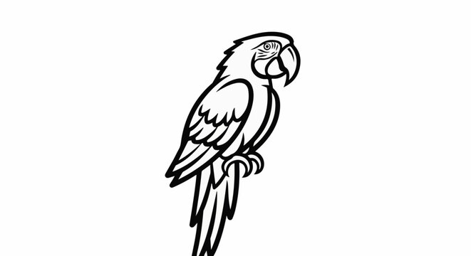 A black and white line drawing of a perched parrot with distinctive features