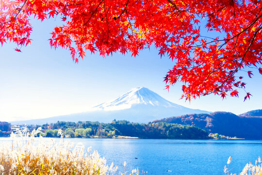 富士山と紅葉