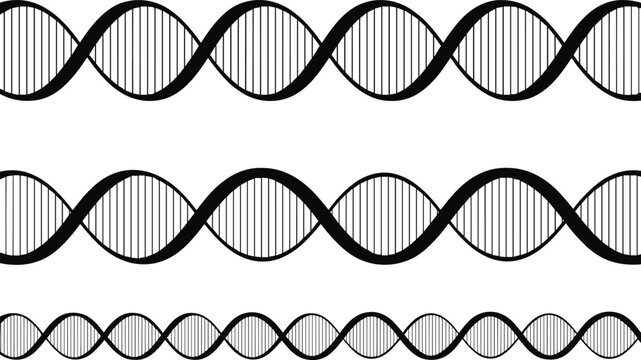 DNA Double Helix Patterns in Black and White vector