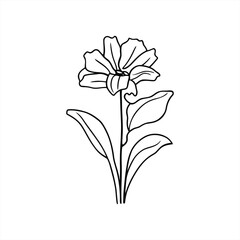 Obraz premium A beautiful illustration of a flower with leaves standing alone