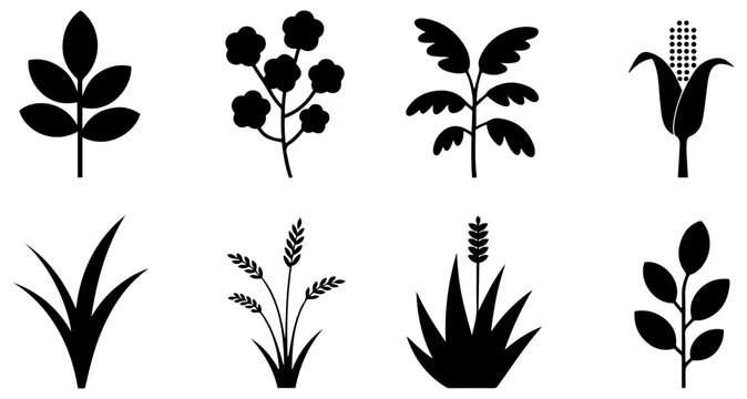 grass plant silhouette set black vector