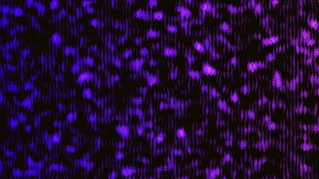 Neon abstract background with flickering purple and blue digital noise texture. Retro 80s futuristic motion pattern inspired by glitch and pixel distortion. Seamless loop 4k