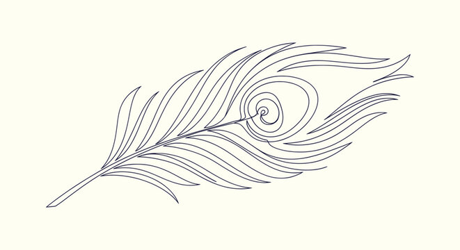 Elegant continuous one line drawing of a peacock feather for minimalist wall art and logo design