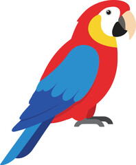 Fototapeta premium Colorful parrot with red body blue wings and tail yellow