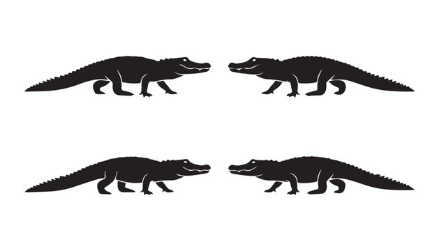 black and white silhouette set of crocodile very high quality vector illustration.