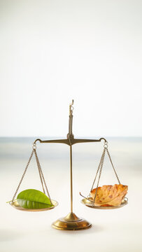 Balance scale green leaf autumn leaf passage time life balance moments between seasons as passage of time life brass scale