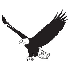 Fototapeta premium Bald eagle flying with wings spread black and white vector illustration for patriotic emblem or wildlife logo