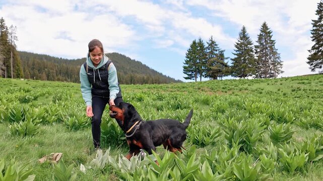 Girl is playing with dog-Rottweiler in grassy green meadow against the backdrop of trees and hills