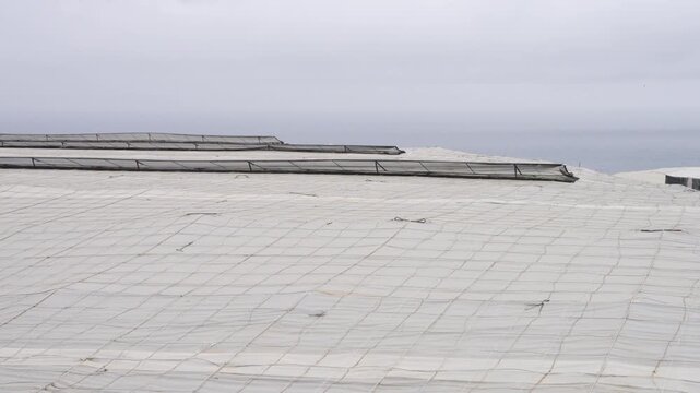 Greenhouse in Almeria / El Ejido (Spain). Sea of Plastic, Andalusia