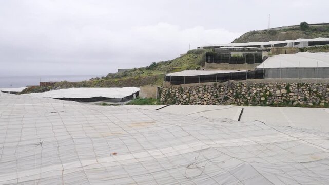 Greenhouse in Almeria / El Ejido (Spain). Sea of Plastic, Andalusia