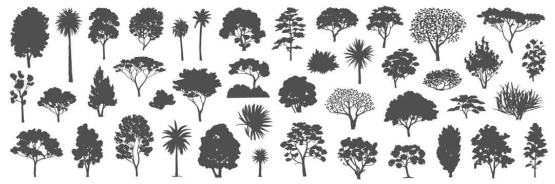 Tree silhouette icon collection set of graphics trees elements outline symbol for architecture of silhouettes of trees .landscape, and urban design projects, in vector design