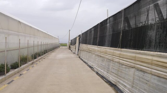 Greenhouse in Almeria / El Ejido (Spain). Sea of Plastic, Andalusia